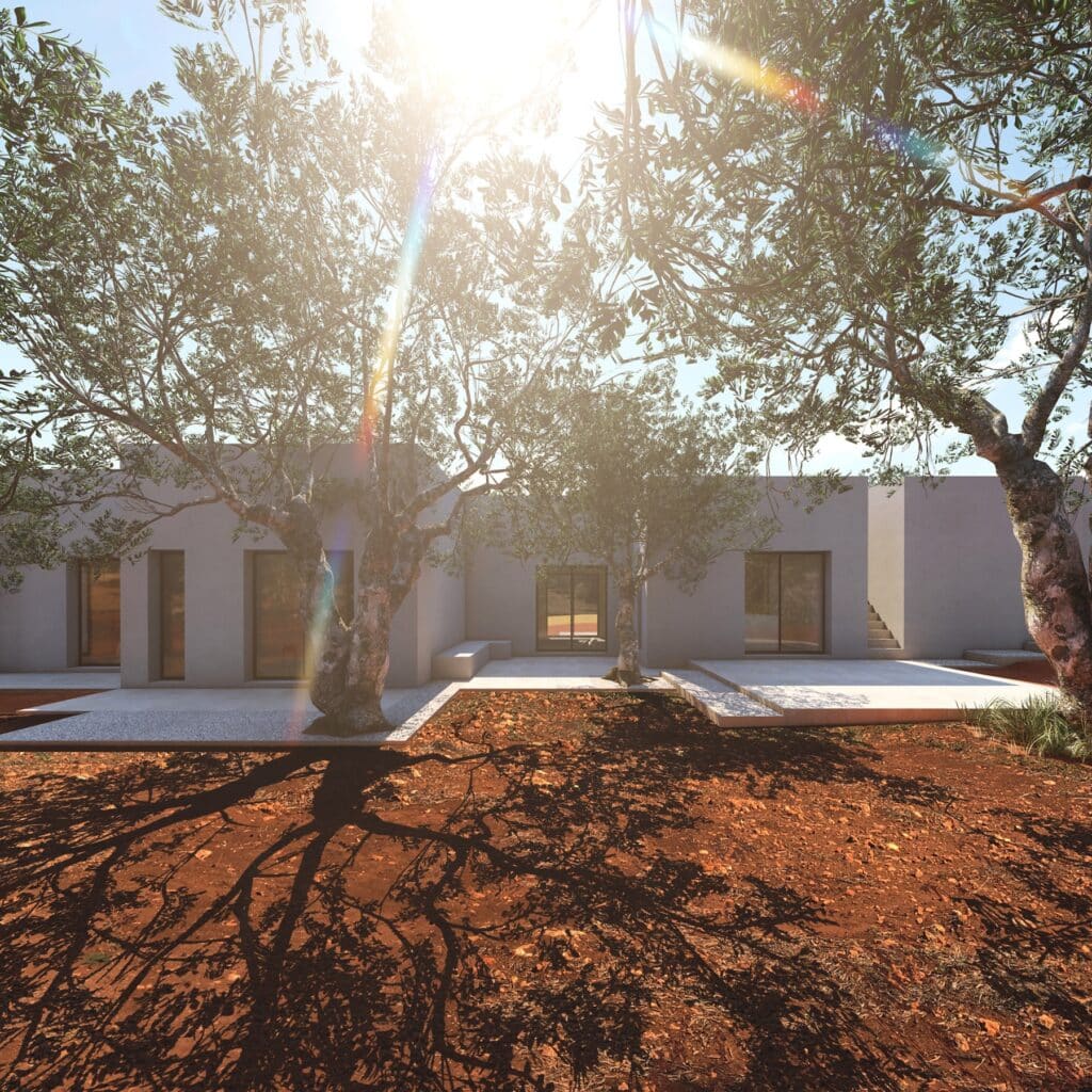 Minimalistisches Wohnhaus mit flachen Dächern und Terrasse, umgeben von alten Olivenbäumen in mediterraner Landschaft.