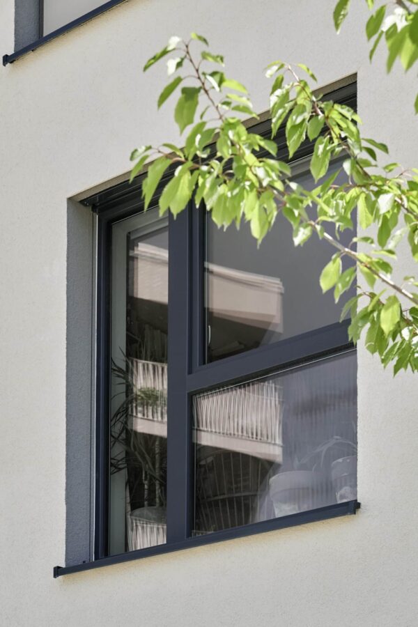 Modernes Fenster mit dunklem Rahmen in einer Fassade, teilweise verdeckt durch grüne Blätter