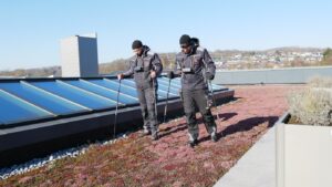 Zwei Fachkräfte prüfen ein begrüntes Flachdach mit elektronischem Leckageortungssystem.