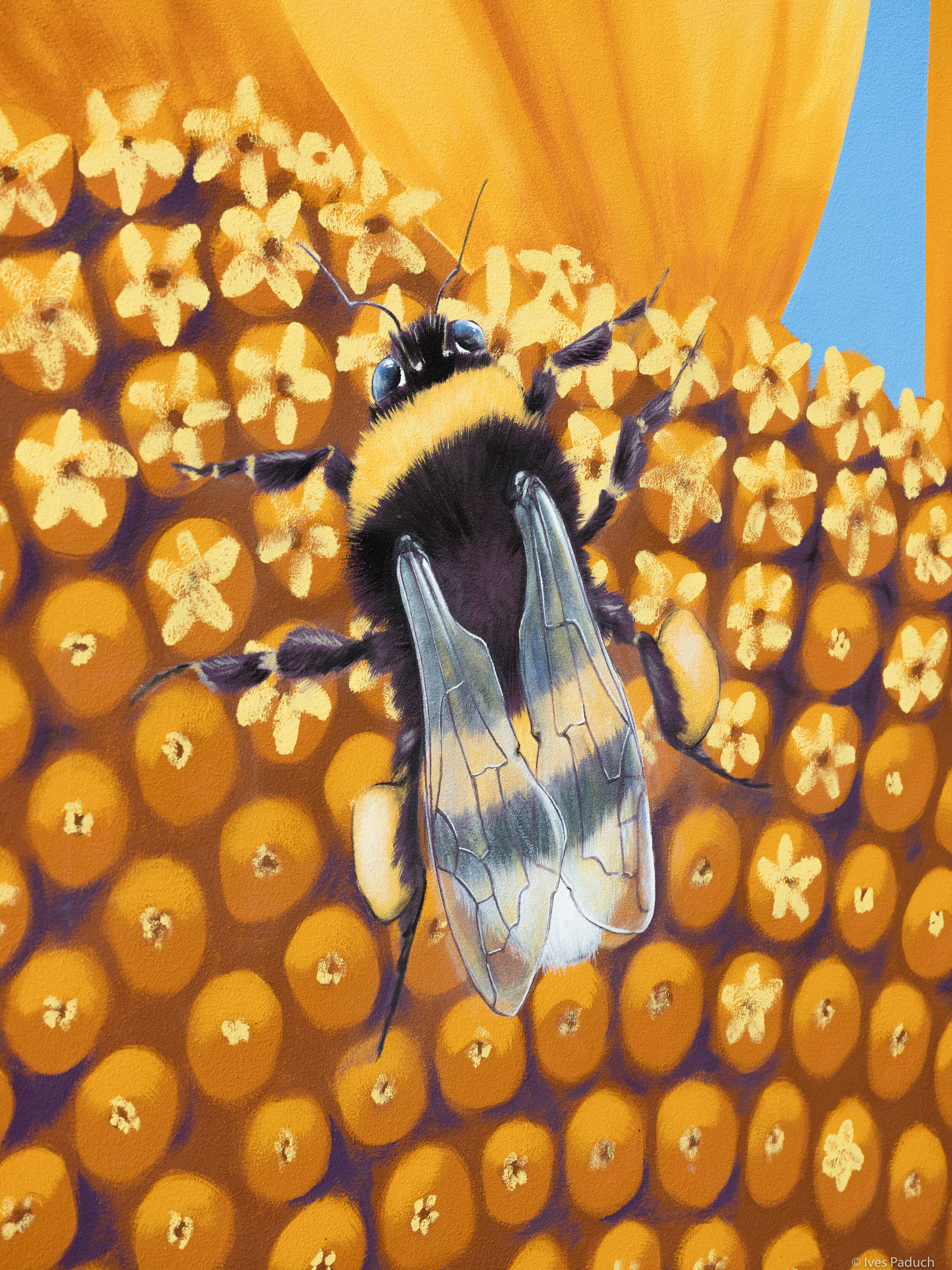 Der Künstler arbeitete mit seinem Team sehr detailliert: Neben den äußeren Blättern der Sonnenblume hat gleichzeitig jedes Korn noch eine einzelne kleine Blüte innen, auch die transparenten Hummelflügel sind deutlich erkennbar. © Ives Paduch Fotogra…