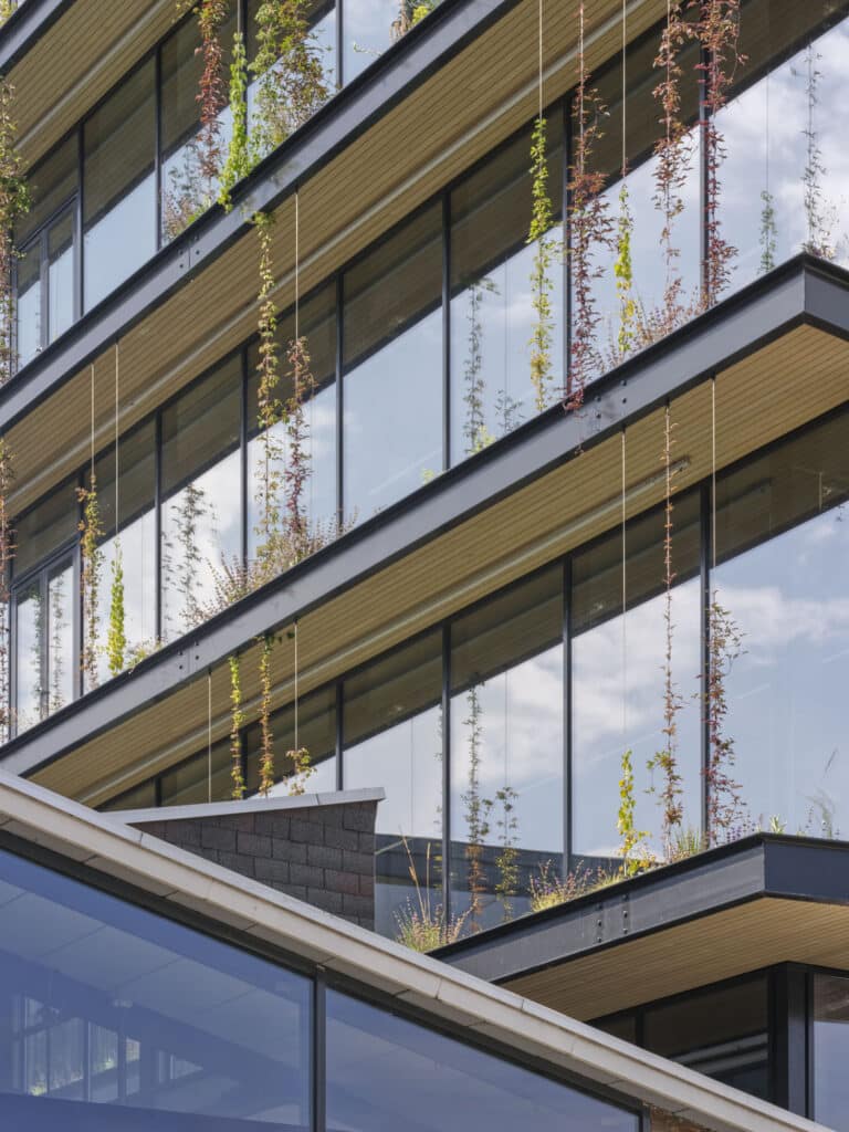 Nahaufnahme der begrünten Balkone mit Glasfassade und vertikal geführten Rankpflanzen am KBF Warehouse.
