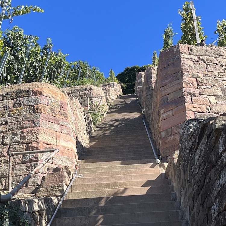 Historische Weinbergmauern © Agence Ter .de, Karlsruhe