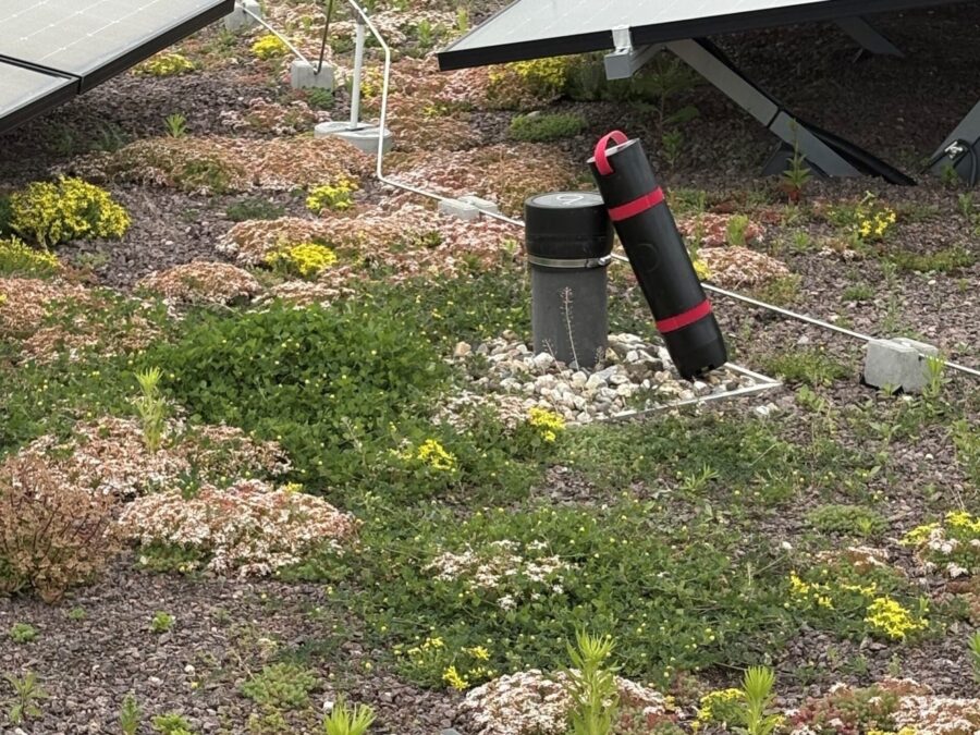Auf einem begrünten Flachdach stehen zwei schwarze ProtectSys-Feuchtesensoren neben einer Dachentwässerungseinheit zwischen Vegetation und PV-Modulen.