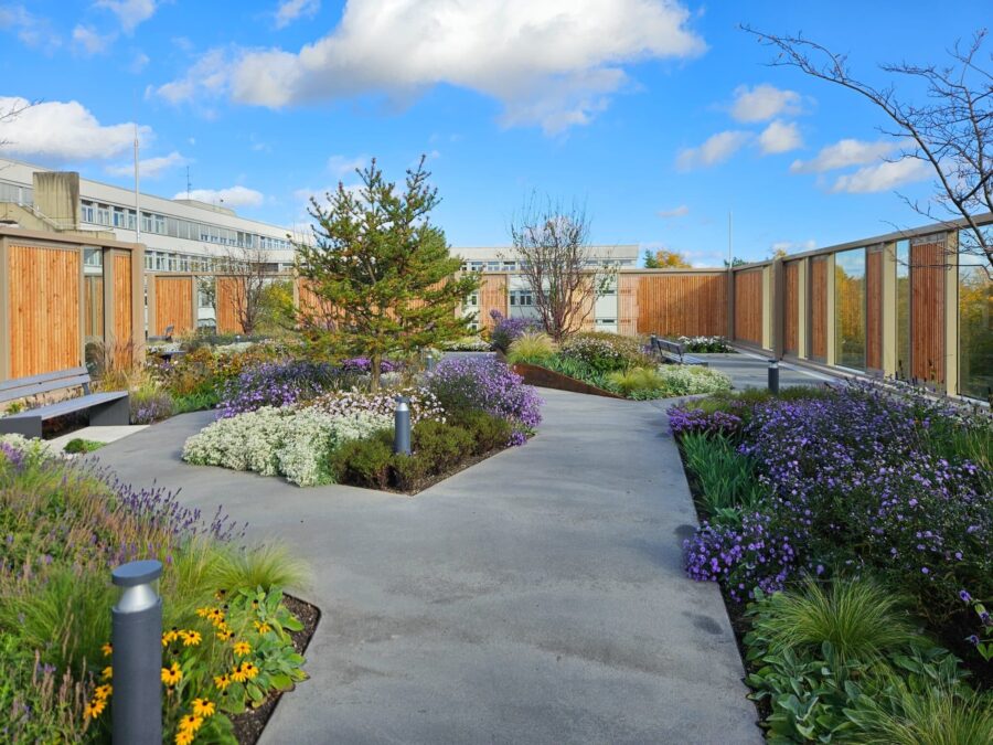 Dachgarten mit breiten Wegen, üppiger Bepflanzung und Holzelementen auf dem Klinikgebäude in Lüneburg unter blauem Himmel.