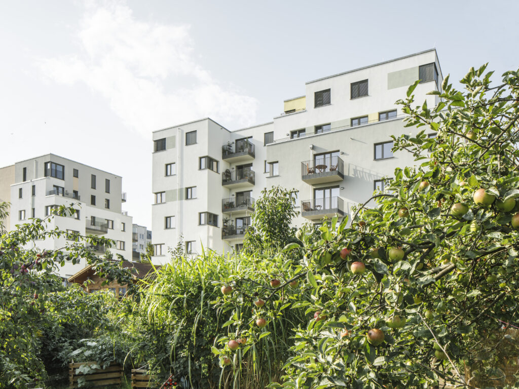 Wohngebäude des Projekts PP49 in Berlin, gesehen vom angrenzenden Garten mit Apfelbäumen und dichter Vegetation.