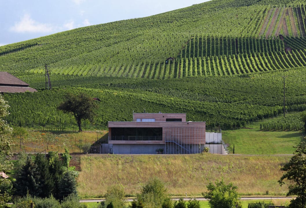 Modernes Weingut Knauß in Weinstadt-Strümpfelbach eingebettet in die Weinberge des Remstals