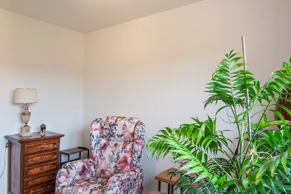 Decken-Heizelement im Wohnraum über einem floralen Sessel und einer großen Zimmerpflanze für behagliche Wärme.