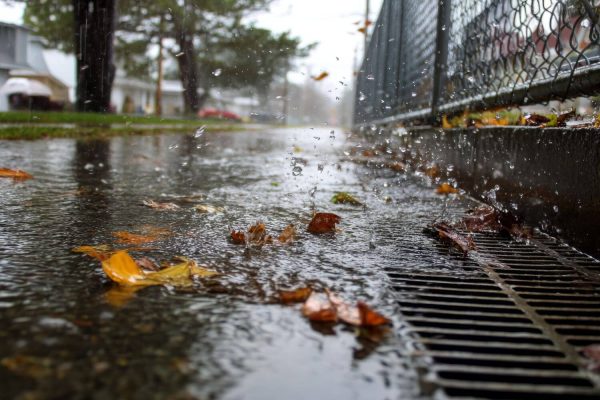 Verschmutztes Oberflächenwasser mit Herbstlaub fließt bei Regen am Straßenrand direkt in einen Gully.