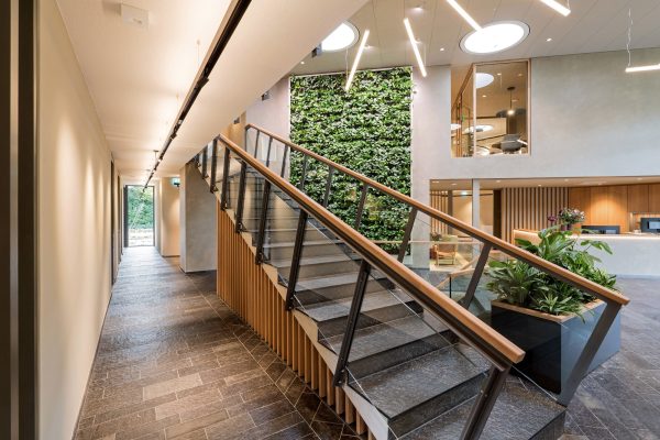 Modernes Foyer mit Treppe, Pflanzenwand und dem fugenfreien Deckensystem OWAplan bei Nikkels in Twello.