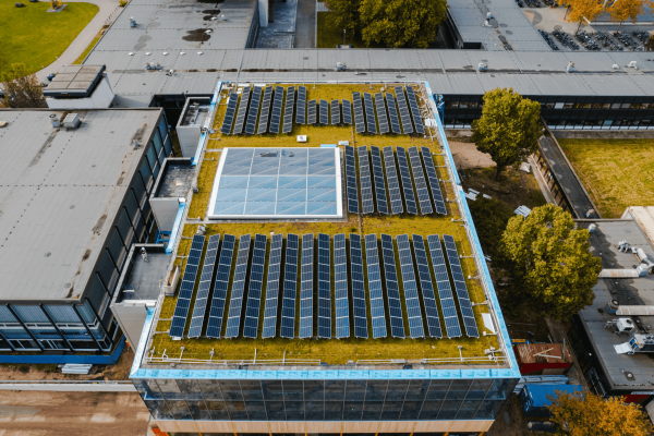 Multifunktional genutzt: Auf dem Gründach verbinden sich Photovoltaik, Begrünung und Regenwasserrückhalt zu einem leistungsstarken Gesamtsystem.