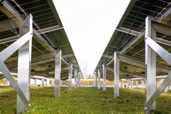 Optigruen Solar WRB System auf einer Dachbegrünung mit Photovoltaik zur Kühlung der Module und Effizienzsteigerung.