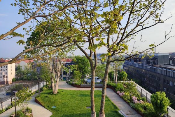 Begrünter Dachgarten mit Bäumen und Wegen am Optigrün Referenzprojekt Bürogebäude AERA in Berlin.