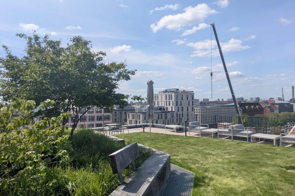 Begrüntes Retentionsdach mit Rasen und Holzbänken auf einer Mieterterrasse am historischen Postbahnhof Berlin.