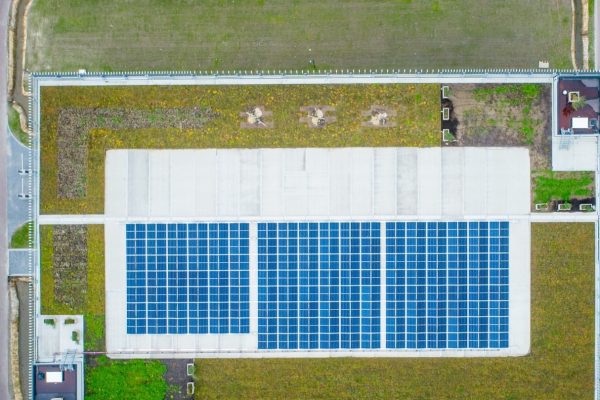 PV, Dachbegrünung und Kräuterpflanzen