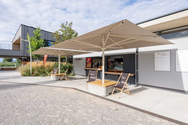 Moderne Strandbar im Seebad Neuer Strand Breitenbrunn mit Beton Cube von Glatz und beigen Schirmen am Neusiedlersee.