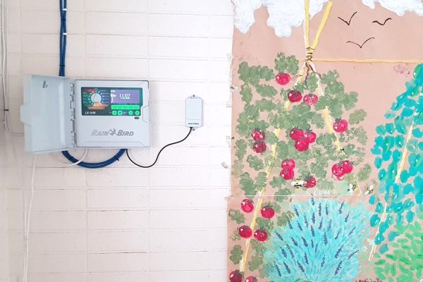 Rain Bird ESP-LXIVM Steuergerät an weißer Wand als zentrale Steuerung der Anlage für die Gartenbewässerung.