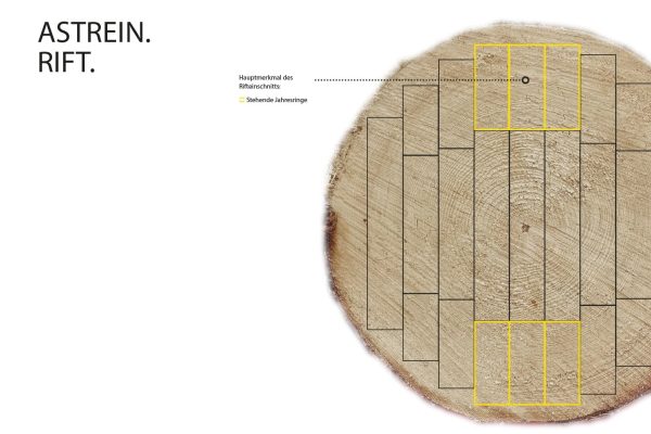 Astrein Rift Holz mit stehenden Jahresringen im Baumstamm-Querschnitt für Best Wood Schneider CLT XL.