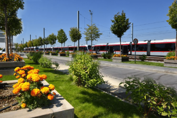 Begrünte Gleisanlagen der modernen Straßenbahn-Infrastruktur in Kayseri mit dekorativen Blumenbeeten.
