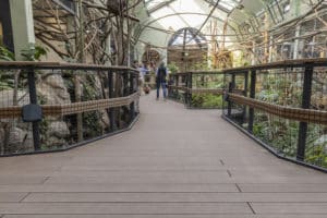 Der Besuchersteg im Südamerikahaus begeistert mit seinen natürlichen, gewundenen Formen: eine Herausforderung an die Planer und ausführenden Handwerker. 