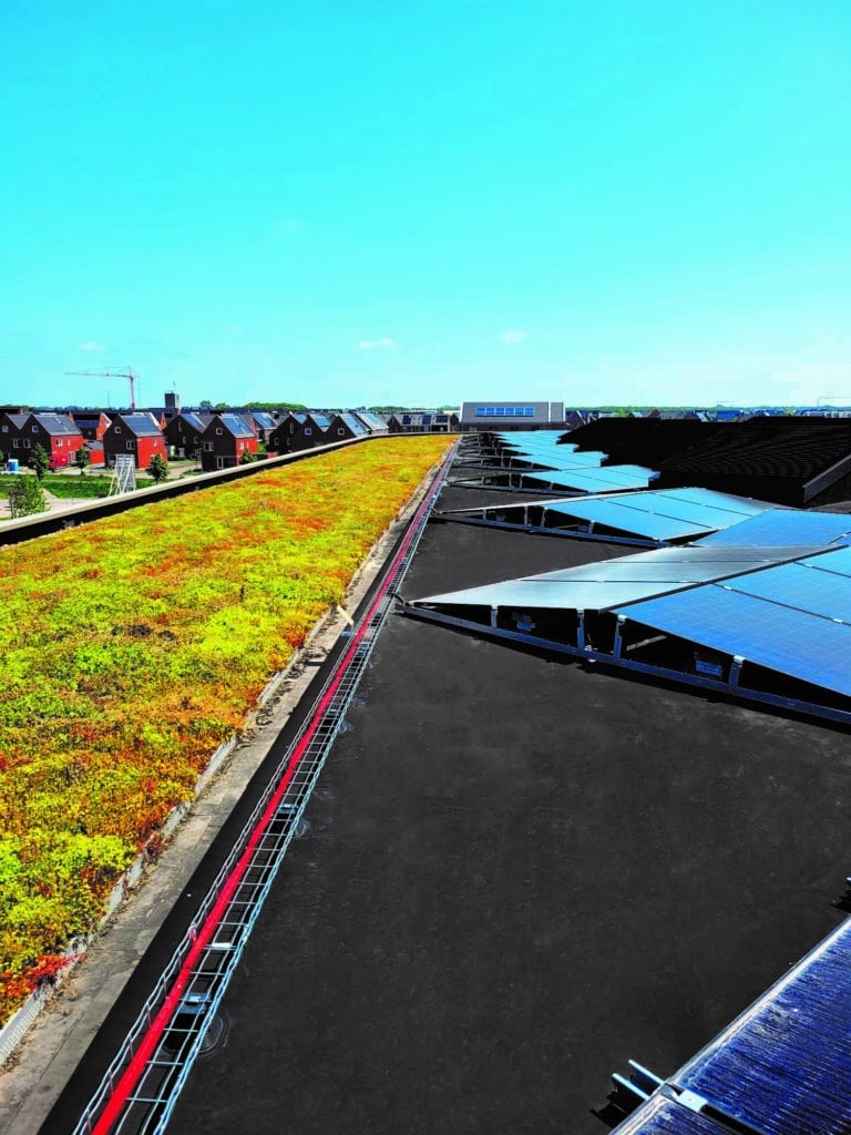 Flachdach mit extensiver Dachbegrünung und angrenzender Photovoltaikanlage, Blick über ein Wohngebiet unter blauem Himmel.